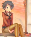  black_eyes black_hair blush brown_legwear chestnut crane dusk em_s flying_sweatdrops food fruit hanging_food highres kantai_collection mogami_(kantai_collection) persimmon school_uniform serafuku short_hair sitting solo thighhighs window windowsill 