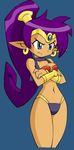  1girl blue_eyes breasts earrings jewelry medium_breasts navel photoshop purple_hair shantae shantae_(character) shantae_and_the_pirate&#039;s_curse shantae_and_the_pirate's_curse solo wayforward 