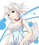  animal_ears babydoll blue_eyes collar dog_ears dog_tail izayoi_sakuya kemonomimi_mode ogami_kazuki open_mouth short_hair silver_hair solo tail touhou 