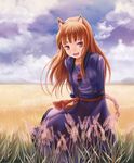  animal_ears arms_behind_back breasts brown_hair cloud day fang field holo lasterk long_hair medium_breasts open_mouth outdoors red_eyes sky solo spice_and_wolf standing wheat wolf_ears 
