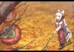  bamboo blurry boots bow breath depth_of_field food from_above fruit fujiwara_no_mokou fuurin_(omaemona) hair_bow hair_ribbon long_hair looking_up open_mouth pants persimmon ribbon scarf silver_hair solo suspenders touhou tree very_long_hair 
