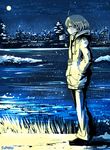  ahoge bay blue_background city_lights closed_mouth cloud cloudy_sky coat commentary_request from_side grass hands_in_pockets limited_palette male_focus moon night original path road scarf sky skyline snowing solo suparu_(detteiu) tree walking winter 