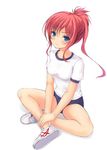  asics bad_id bad_pixiv_id blue_eyes blush breasts buruma gym_uniform highres indian_style long_hair medium_breasts mutsuba_fumi original ponytail red_hair shoes simple_background sitting sneakers solo v_arms white_background 