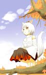  animal_ears autumn autumn_leaves barefoot detached_sleeves full_body fumikiri_(dake_no_hito) hands_together hat highres in_tree inubashiri_momiji leaf light_smile looking_away maple_leaf paw_print pom_pom_(clothes) red_eyes short_hair sitting sitting_in_tree skirt smile solo squatting tail tokin_hat touhou tree tree_branch white_hair wolf_ears wolf_tail 