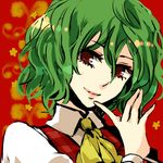  ascot bad_id bad_pixiv_id closed_mouth finger_to_mouth green_hair hands head_tilt kazami_yuuka lips lowres plaid plaid_vest popoin portrait red_eyes short_hair smile solo touhou vest 