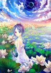  bad_id bad_pixiv_id bare_arms bare_shoulders blue_eyes blue_hair chrome_dokuro cloud dress eclipse flower from_side heterochromia holding holding_flower katekyo_hitman_reborn! lilithbloody looking_at_viewer lotus outdoors parted_lips plant red_eyes short_hair sky sleeveless sleeveless_dress solar_eclipse solo standing wading water wet wet_clothes wet_dress white_dress 