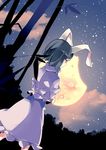  aioi_aoi animal_ears bamboo bamboo_forest black_hair bunny_ears bunny_tail cloud cloudy_sky crossed_arms forest frills from_behind gathers inaba_tewi leaf looking_away moon nature night night_sky plant red_eyes ribbon short_hair skirt skirt_set sky solo star_(sky) starry_sky tail touhou 