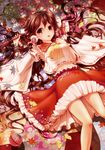  ascot breasts brown_eyes brown_hair detached_sleeves gohei hair_ribbon hair_tubes hakurei_reimu kyo_(kyo21413) large_breasts leaf long_hair looking_at_viewer lying maple_leaf nature on_back red_skirt ribbon skirt solo touhou very_long_hair wide_sleeves 