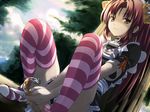  against_tree animal_ears apron between_legs brown_eyes brown_hair cat_ears cat_tail collar maid original panties pink_legwear sitting solo striped striped_legwear striped_panties tail tail_between_legs takase_muu thighhighs tree underwear 