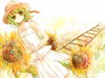  dress flower green_eyes green_hair gumi hat kamogawa_akira railroad_tracks solo sun_hat sunflower vocaloid 