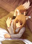  akie_(tyamau0525) animal_ears apple bad_id bad_pixiv_id barefoot bed blush brown_hair feet food fruit hands highres holo long_hair lying on_stomach red_eyes smile solo spice_and_wolf tail wolf_ears wolf_tail 