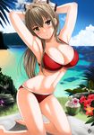  amagi_brilliant_park armpits arms_up beach bikini bird blush breasts brown_eyes brown_hair cleavage coconut day drink flower hibiscus kneeling large_breasts long_hair looking_at_viewer navel o-ring o-ring_bottom o-ring_top ocean ponytail red_bikini seagull sento_isuzu skindentation swimsuit wet xtermination 