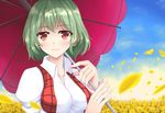  absurdres ascot bad_id bad_pixiv_id breasts covered_nipples day flower green_hair highres kazami_yuuka medium_breasts petals plaid plaid_skirt plaid_vest red_eyes short_hair skirt sky smile solo touhou umbrella vest wendell 