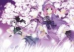  bug butterfly cherry_blossoms dual_wielding fan ghost hairband hat highres holding insect katana konpaku_youmu konpaku_youmu_(ghost) multiple_girls pink_hair purple_eyes saigyouji_yuyuko shiratama_dango short_hair silver_hair sword touhou weapon 