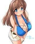  bad_id bad_pixiv_id banned_artist blush breast_lift breast_squeeze breasts brown_hair covered_nipples dead_or_alive hanging_breasts hitomi_(doa) large_breasts long_hair looking_at_viewer mikomu short_shorts shorts smile solo v_arms 