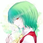  ascot bad_id bad_pixiv_id flower green_hair kazami_yuuka lily_(flower) plaid plaid_vest red_eyes sakurausagi_ao short_hair sideways_glance smile solo touhou vest 