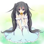  amano_kouki bare_shoulders black_hair blue_dress brown_eyes collarbone detached_sleeves dress flower holding long_hair looking_at_viewer note-chan original sitting solo twintails very_long_hair 