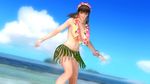  3d alternate_costume beach breasts dead_or_alive dead_or_alive_5 dead_or_alive_5_last_round grass_skirt hitomi_(doa) large_breasts lei official_art tecmo topless 