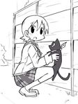  aioi_yuuko black_cat cat holding monochrome nichijou sakamoto_(nichijou) scarf squatting zubatto 