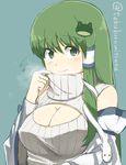  adapted_costume animal_print bad_id bad_pixiv_id breasts cleavage cleavage_cutout detached_sleeves flying_sweatdrops frog_print green_eyes green_hair hair_ornament kochiya_sanae large_breasts long_hair long_sleeves looking_at_viewer meme_attire open-chest_sweater ribbed_sweater smile snake_hair_ornament solo sweater tebukuro_withana touhou turtleneck twitter_username upper_body wide_sleeves 