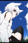  animal_ears bare_shoulders black_legwear day detached_sleeves highres inubashiri_momiji looking_at_viewer looking_back nature nejime no_hat no_headwear pom_pom_(clothes) red_eyes short_hair silver_hair sitting sky solo touhou wolf_ears 