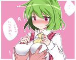  ascot blush breast_grab breasts commentary grabbing green_hair hammer_(sunset_beach) kazami_yuuka large_breasts plaid plaid_vest red_eyes short_hair simple_background solo_focus touhou translated upper_body vest 