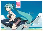  :o ass barefoot bikini bikini_skirt front-tie_top green_eyes green_hair hatsune_miku inflatable_orca inflatable_toy kanzaki_hiro long_hair looking_back ocean orca skirt solo swimsuit twintails very_long_hair vocaloid water 