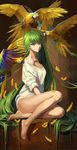  ana_bi barefoot bird blue-and-yellow_macaw c.c. code_geass collarbone feathers feet full_body green_hair highres legs long_hair macaw no_pants off_shoulder parrot sitting solo yellow_eyes 