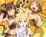  3girls animal_ears animal_tail aoyama_nanami artist_request blonde_hair blush breasts brown_eyes brown_hair collar female kamiigusa_misaki large_breasts multiple_girls ponytail sakura-sou_no_pet_na_kanojo shiina_mashiro smile tail 