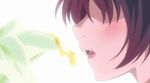  2girls animated animated_gif flower licking multiple_girls sexually_suggestive silver_link yuri yuri_kuma_arashi yurigasaki_lulu yurishiro_ginko 