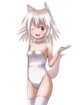  a-ktoo animal_ears bare_shoulders blush breasts choker fox_ears fox_tail original simple_background small_breasts smile solo tail thighhighs white_background white_hair 
