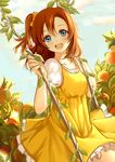  alternate_costume blue_eyes clouble day dress food fruit kousaka_honoka love_live! love_live!_school_idol_project one_side_up open_mouth orange orange_hair orange_tree puffy_short_sleeves puffy_sleeves short_hair short_sleeves sky smile solo summer yellow_dress 