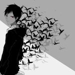  black_hair bug butterfly durarara!! fur_trim highres insect looking_at_viewer male_focus orihara_izaya red_eyes solo spot_color teario 