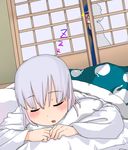  blush face hands hat hitodama konpaku_youmu konpaku_youmu_(ghost) lying muku_(muku-coffee) multiple_girls on_stomach peeking pink_hair saigyouji_yuyuko short_hair silver_hair sleeping touhou triangular_headpiece you_gonna_get_raped zzz 