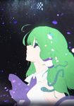  bad_id bad_pixiv_id blue_eyes chromatic_aberration detached_sleeves frog_hair_ornament green_hair hair_ornament hair_tubes hong kochiya_sanae looking_up solo touhou 