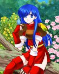  74 animal animal_on_shoulder armor bird bird_on_hand bird_on_shoulder blue_hair breastplate dress elbow_gloves fingerless_gloves fire_emblem fire_emblem:_monshou_no_nazo flower gloves long_hair red_dress red_gloves red_legwear sheeda short_dress sitting solo thighhighs 