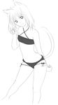  animal_ears breasts cat_ears covered_nipples greyscale hayden_mackenzie lingerie macross macross_frontier monochrome paw_pose ranka_lee sketch small_breasts solo underwear 