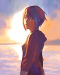  1girl absurdres another_code another_code_recollection ashley_mizuki_robbins blurry blurry_background cloud cloudy_sky from_side hair_between_eyes highres hood hoodie kanasaki_taisuke looking_at_viewer looking_to_the_side ocean official_art orange_sky parted_lips short_hair sky solo sunset 