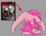 anthro canid canine caninu canis carrudra chocolat_gelato cyberconnect2 domestic_dog female hi_res jack-o&#039;_pose little_tail_bronx mammal meme nude pomeranian pose solatorobo solo spitz