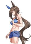  1girl abs absurdres admire_vega_(umamusume) alternate_costume animal_ears bare_shoulders blue_bra blue_shorts bra breasts brown_hair cleavage commentary_request denim denim_shorts ear_covers from_side hair_between_eyes hair_ribbon highres horse_ears horse_girl horse_tail long_hair looking_at_viewer looking_to_the_side low_ponytail partial_commentary purple_eyes ribbon senchan_7 short_shorts shorts simple_background single_ear_cover solo tail umamusume underwear white_background white_ribbon 