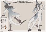 anthro areola biped breasts claws color_swatch english_text female fingers hair kangaroo lizet macropod mammal marsupial model_sheet nipples paws pouch_(anatomy) solo tail text willow_(onyx_lupine)
