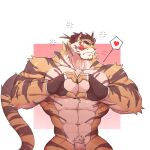 1:1 absurd_res anthro arctico_wolf blush blush_lines brown_hair countershade_face countershade_fur countershade_neck countershade_torso countershading felid fingers fur genitals gesture hair hand_heart hi_res male mammal muscular muscular_anthro muscular_male pantherine pecs penis solo striped_body striped_fur stripes tail tiger