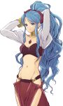  1girl blue_eyes blue_hair breasts character_request chest_jewel cleavage closed_mouth commentary_request groin jewelry loincloth long_hair looking_at_viewer murata_tefu navel simple_background smile solo white_background 