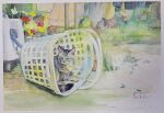  animal animal_focus backyard cat flower grass highres hose hose_reel laundry_basket original painting_(medium) sabi_bobtail sitting traditional_media watercolor_(medium) 