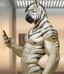 anthro butch_(disambiguation) equid equine hi_res male mammal solo yomamaobby zebra