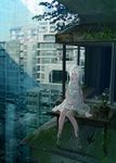  albino bad_id bad_pixiv_id bird cityscape dress grass izumi_sai moss original overgrown pigeon plant potted_plant red_eyes ruins scenery silver_hair sitting solo sundress vines water waterfall white_dress 
