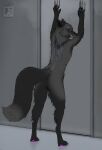 absurd_res alice_(akaifox) angry angry_eyes anthro athletic awkwardcollie back_markings bared_teeth black_body black_fur canid canine claw_markings clawing clawing_door claws crotch_tuft dipstick_tail ears_back eyes_(marking) featureless_crotch female female_(lore) flat_chested fluffy fox fur fur_markings gloves_(marking) glowing glowing_markings grey_body grey_claws grey_fur hi_res imminent_transformation leg_markings looking_at_viewer looking_back mammal markings metal metal_door pawpads pivoted_ears pupils purple_pawpads red_eyes red_fox silver_fox slit_pupils smaller_version_at_source snarling socks_(marking) solo tail tail_markings teeth tense true_fox tuft vein watermark
