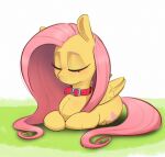 1girl closed_eyes collar feathered_wings fluttershy grass inkypuso long_hair lying my_little_pony my_little_pony:_friendship_is_magic no_humans on_stomach pink_collar pink_hair simple_background sleeping solo white_background wings yellow_fur yellow_wings 