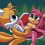 amy_rose animated anthro blue_eyes breasts canid canine duo eulipotyphlan female female_penetrated fox fur genitals green_eyes hair hedgehog hi_res lawealewd male male/female male_penetrating mammal miles_prower multi_tail navel nipples penetration penis pink_body pussy sega sex sonic_the_hedgehog_(series) tail vaginal vaginal_penetration