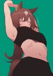  1girl animal_ears armpits arms_up breasts brown_hair closed_eyes closed_mouth crop_top ear_ornament green_background hair_between_eyes highres horse_ears horse_girl horse_tail long_hair midriff mukakin multicolored_hair navel simple_background sirius_symboli_(umamusume) solo sports_bra stomach tail umamusume white_hair 